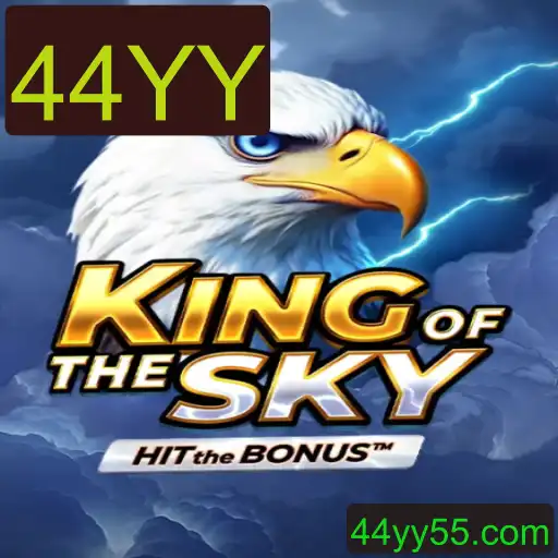 KingOfTheSky: Uma Jornada Aérea Inovadora